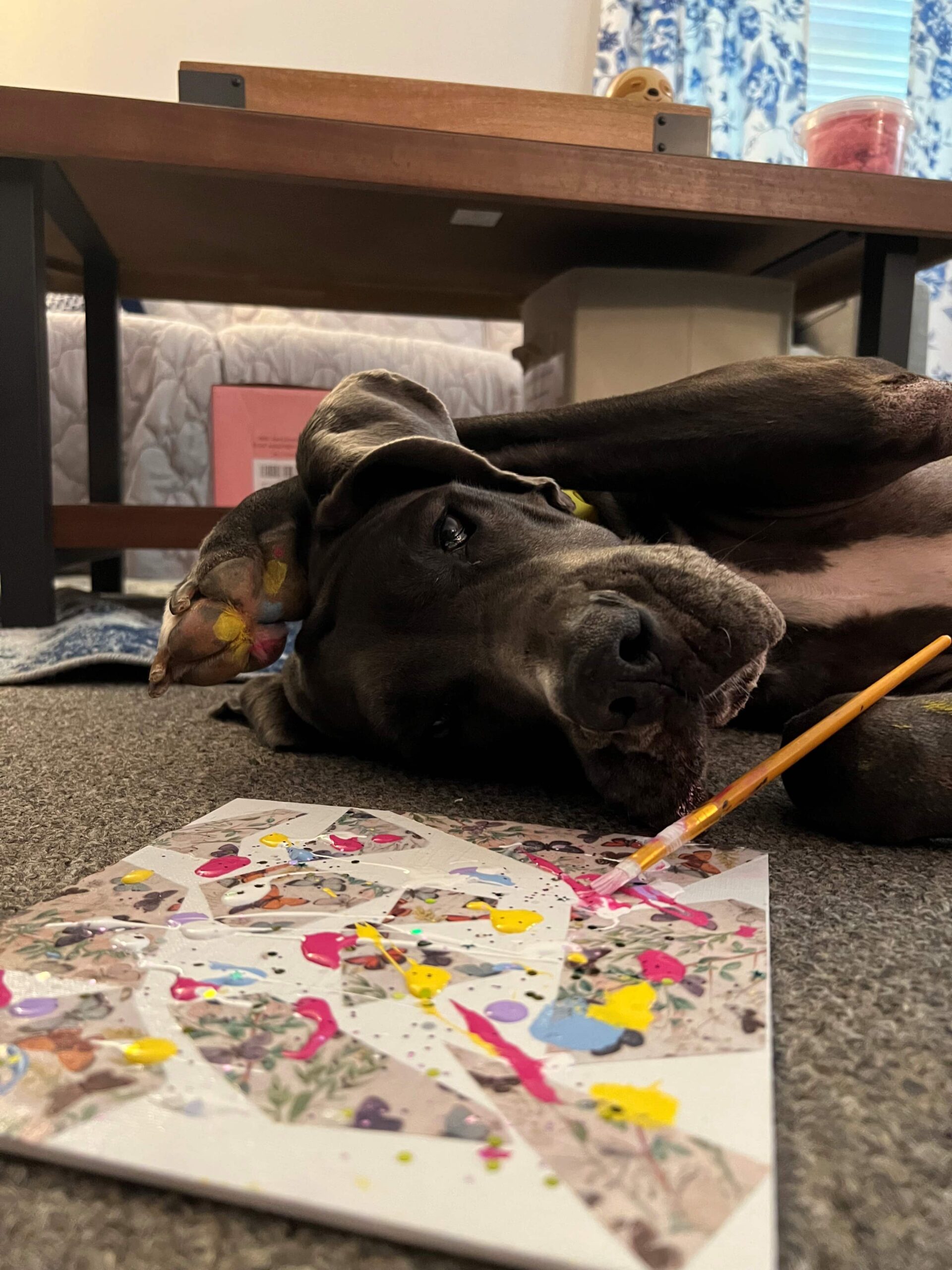 Dog laying beside a painting and paintbrush
